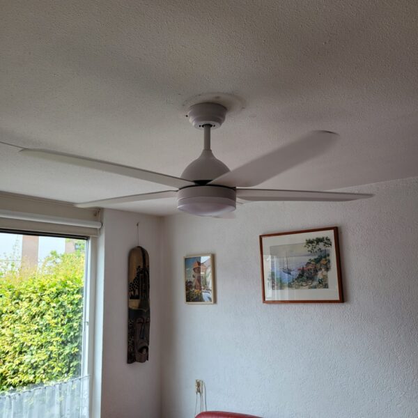 The Fan 4